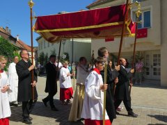 Pfarrei Donaustauf Fronleichnam 2017  (22).JPG